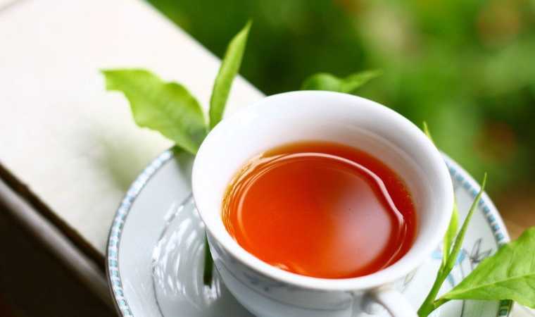 北京品茶网建议爱养生的朋友多喝红茶插图SizuMilk